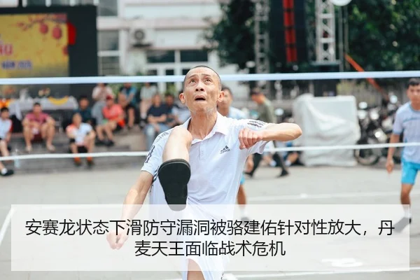 an-sai-long-zhuang-tai-xia-hua-fang-shou-lou-dong-bei-luo-jian-you-zhen-dui-xing-fang-da-dan-mai-tian-wang-mian-lin-2-501.jpg