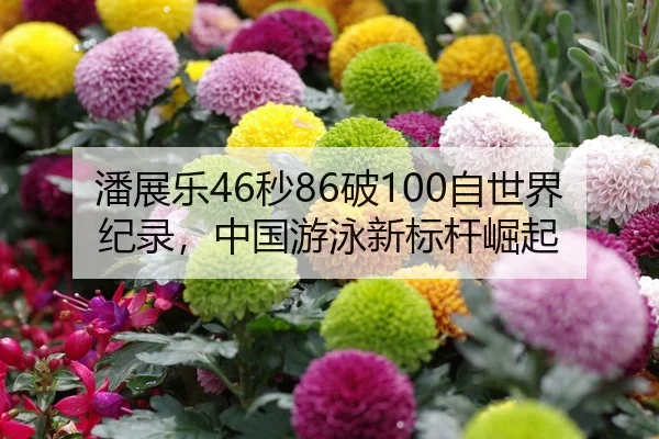 潘展乐46秒86破100自世界纪录，中国游泳新标杆崛起